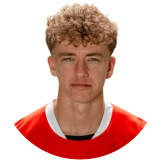 سفين ميجنانس