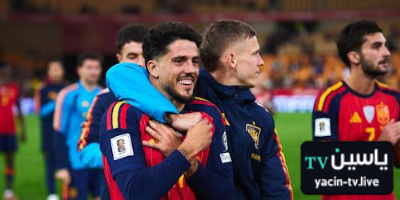 التعثر ضد تركيا … ليس له أي قيمة